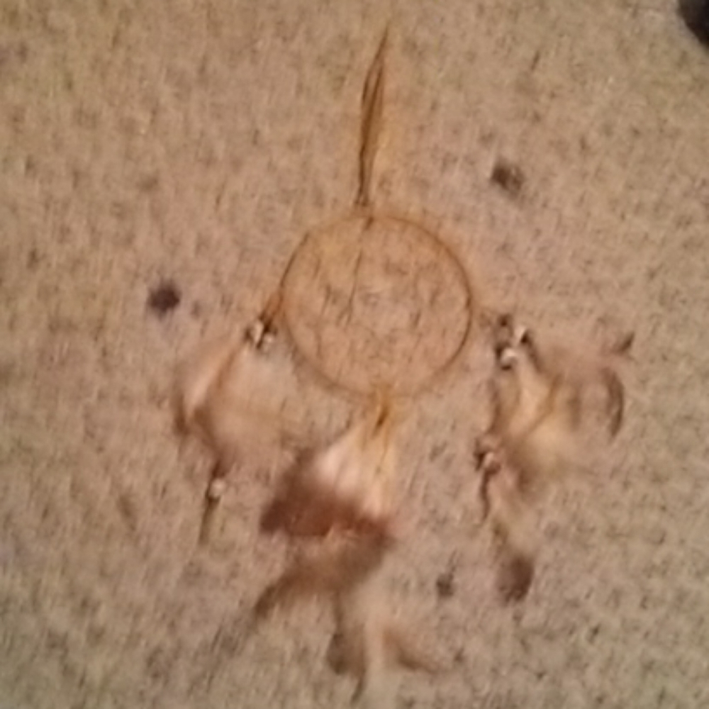 Dream catcher
